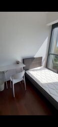Normanton Park (D5), Apartment #482558481